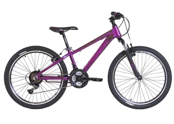 Ποδήλατο Carrera M4 2000 VB MTB 24'' - Image 3