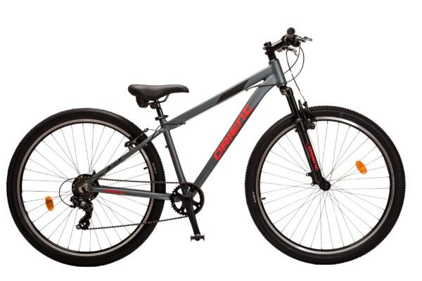 Ποδήλατο ORIENT HUNTER 29″